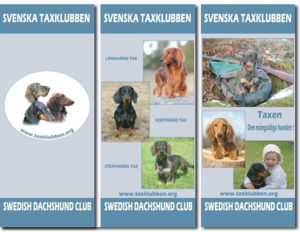 rollup-02-svtk_liten_01_all