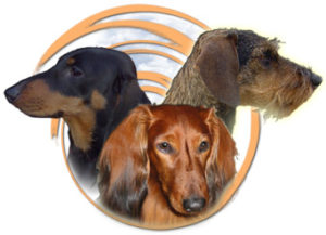 tre-taxar_01-050518_orginal